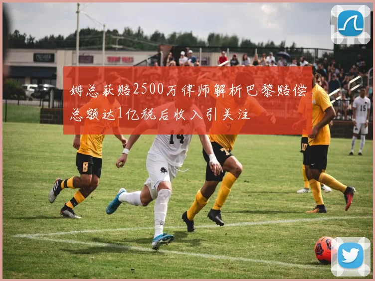 姆总获赔2500万律师解析巴黎赔偿总额达1亿税后收入引关注