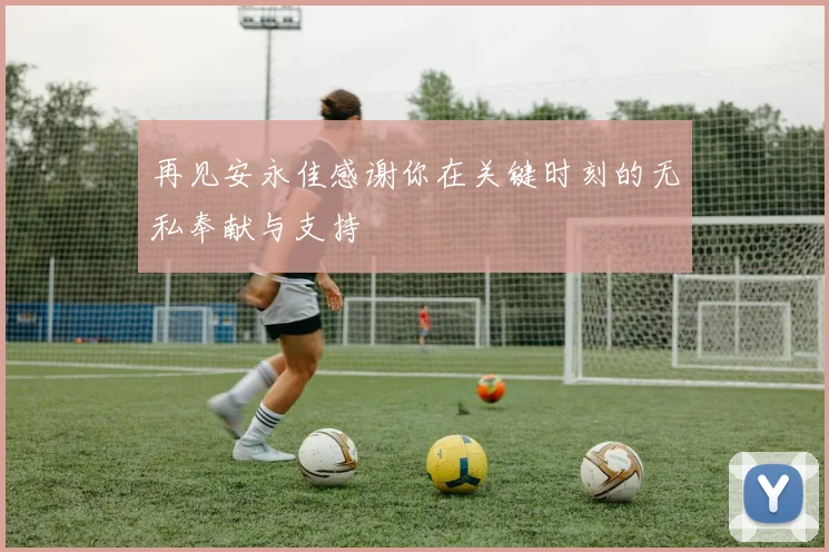 再见安永佳感谢你在关键时刻的无私奉献与支持