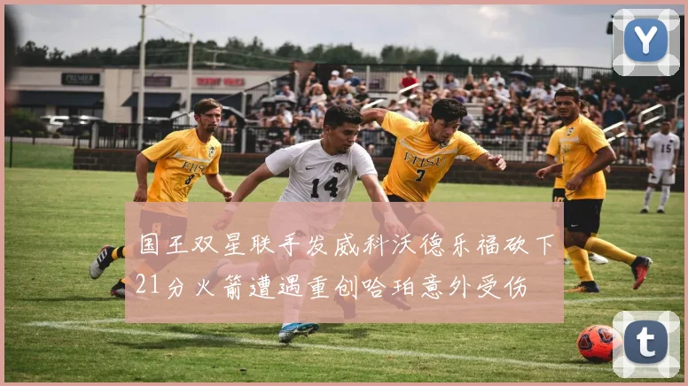 国王双星联手发威科沃德乐福砍下21分火箭遭遇重创哈珀意外受伤
